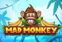 Mad Monkey slot